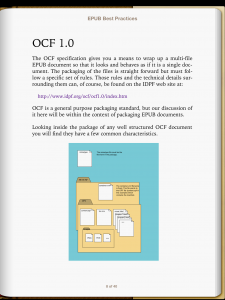 EPUB file shown on an iPad